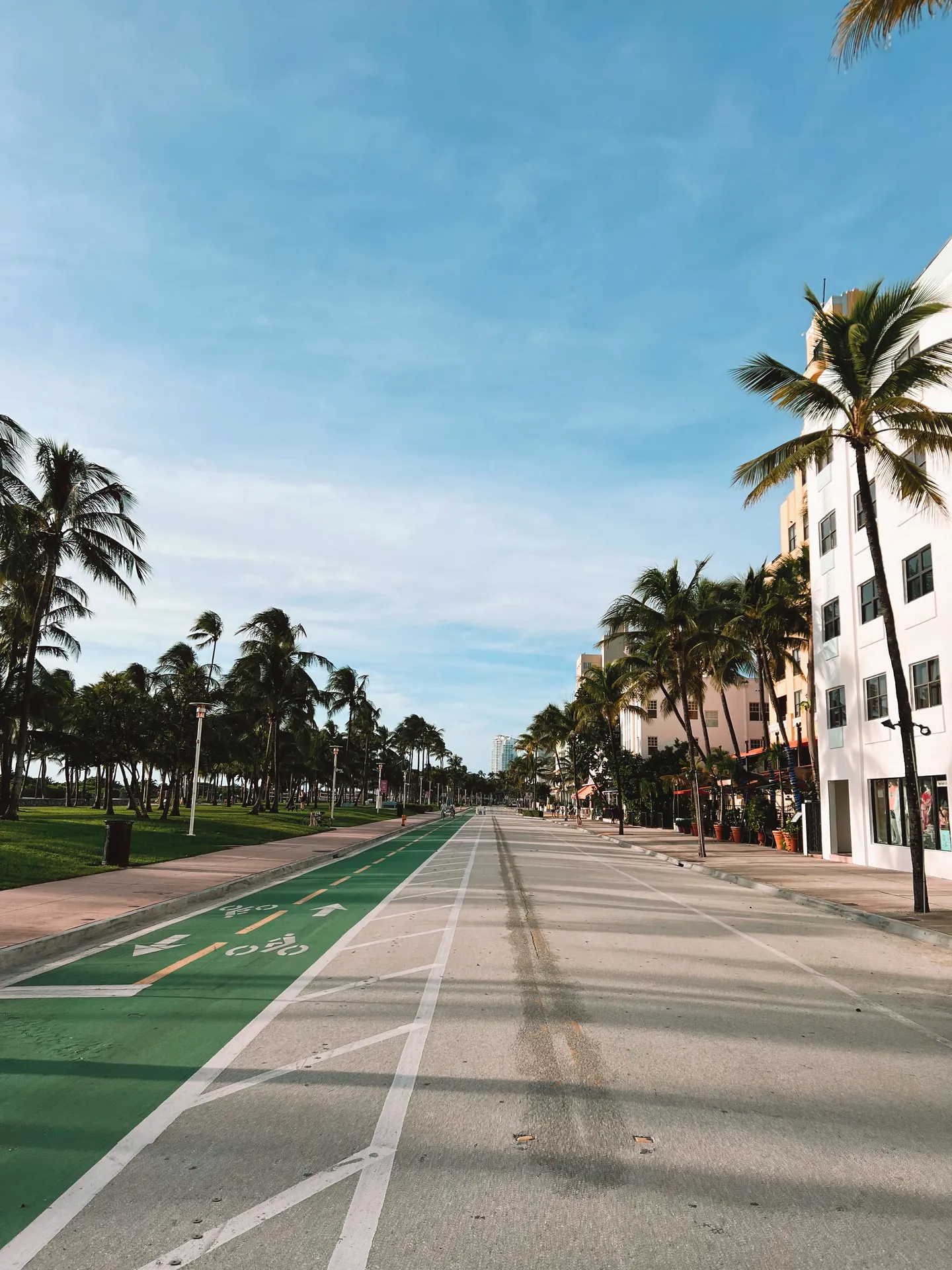 Ocean Drive palms and Art Deco facades in South Beach
